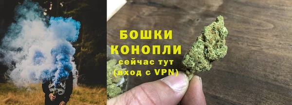индика Беломорск