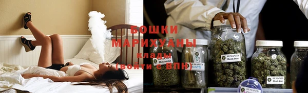 индика Беломорск