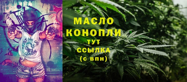 индика Беломорск