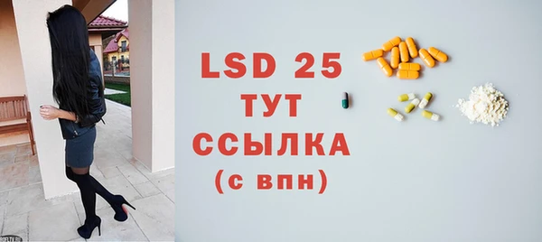 индика Беломорск