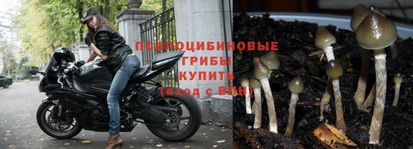 каннабис Белокуриха