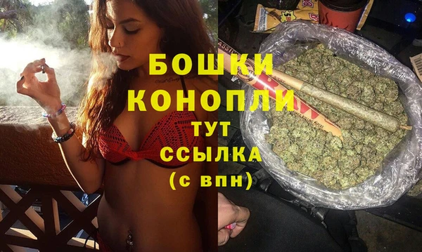 индика Беломорск
