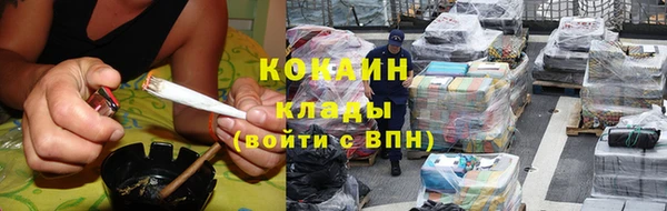 индика Беломорск